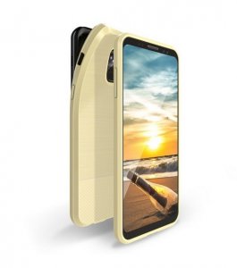 Puzdro Back Case Dux Ducis Mojo iPhone X, XS (5,8), zlaté